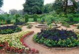 Babelsberg_blumenbeete