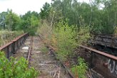 Bewachsene_yorckbruecke