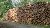 Holzstapel