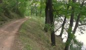 Weg_am_pichersee