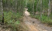 Aufstieg_wehlaberg