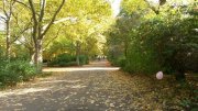 Kreuzberg_herbst