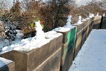 Schneem_2016_01