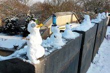 Schneem_2016_02