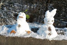 Schneem_2016_04