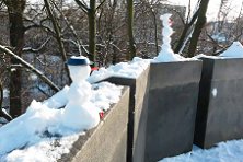 Schneem_2016_05
