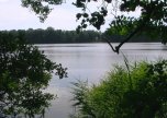 Summter_see