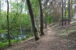 Waldweg_am_fliess