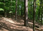 Wald_muehlenb_see