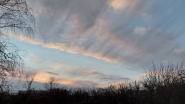 20250211thumb