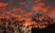 Morgenrot20161123