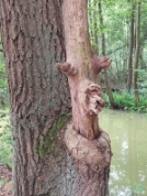 baumtier_thumb